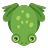 Frog from above, facing down