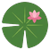 Lily pad