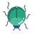 Shiny beetle (seen from above) walking down (towards the viewer)