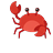 Crab scuttling down (towards the viewer)