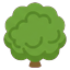 Round tree on Kara's meadow, seen from slightly above