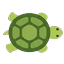 Turtle seen from above walking right