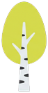 Birch tree with a white trunk