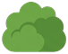 Round green bush