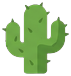 Cactus with two arms