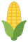 Corn cob