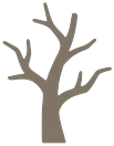 Bare dead tree