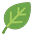 Green leaf