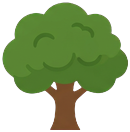 Oak tree with a round green crown