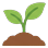 Seedling with two leaves