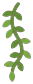 Hanging vine with leaves