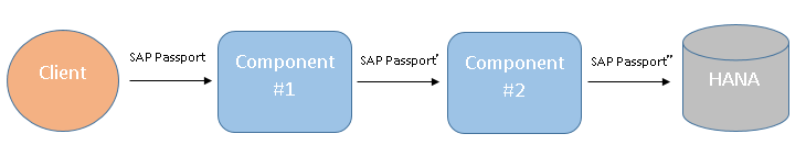 Overview diagram SAP Passport overview diagram