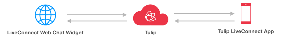 LiveConnect Web Chat Architecture