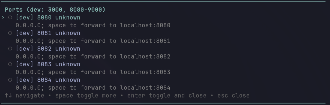 pi-port-forward screenshot