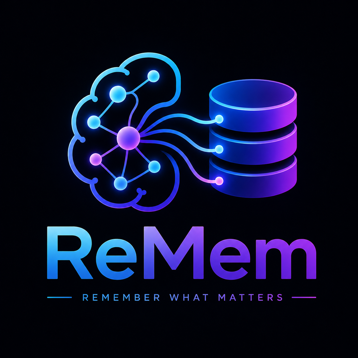 ReMem — Remember What Matters