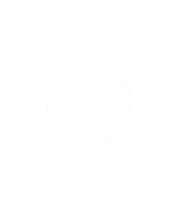 blinkOS logo