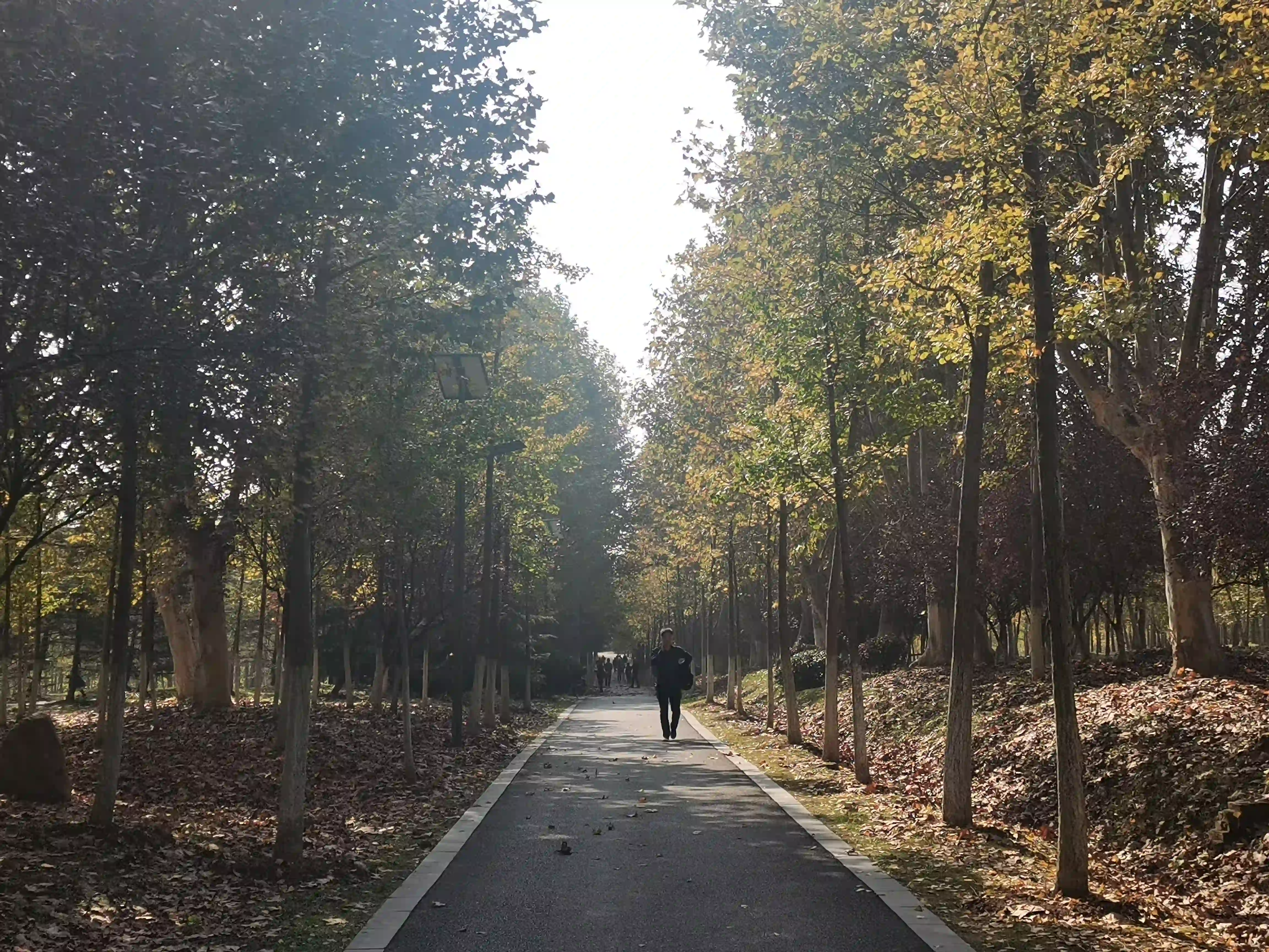 山道