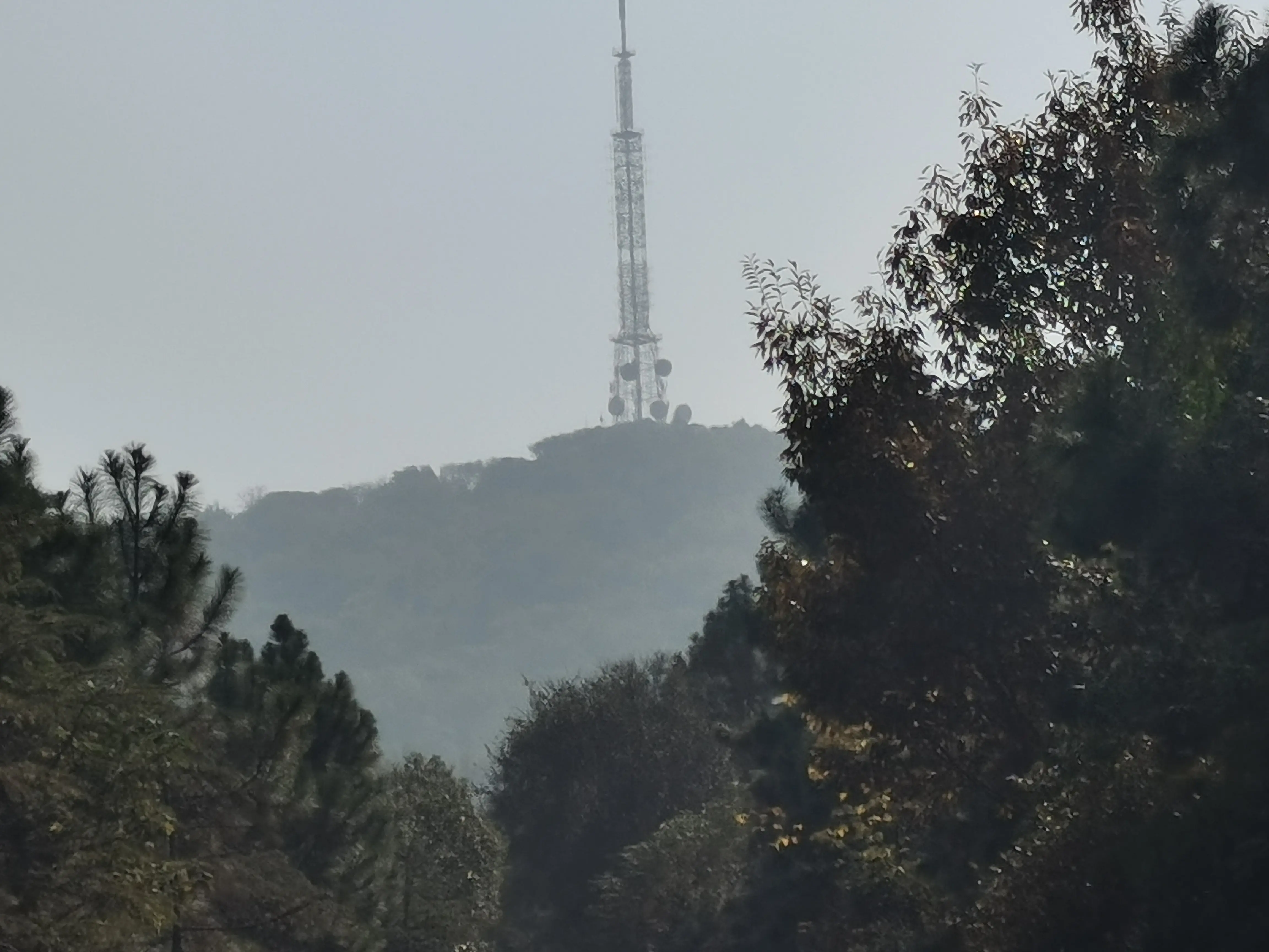 就是这个塔把我骗来的