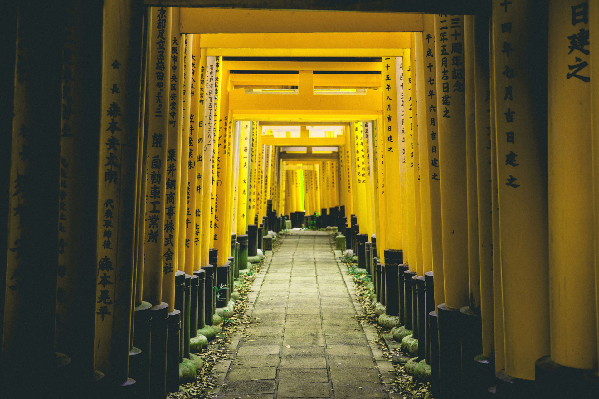 Japan Yellow