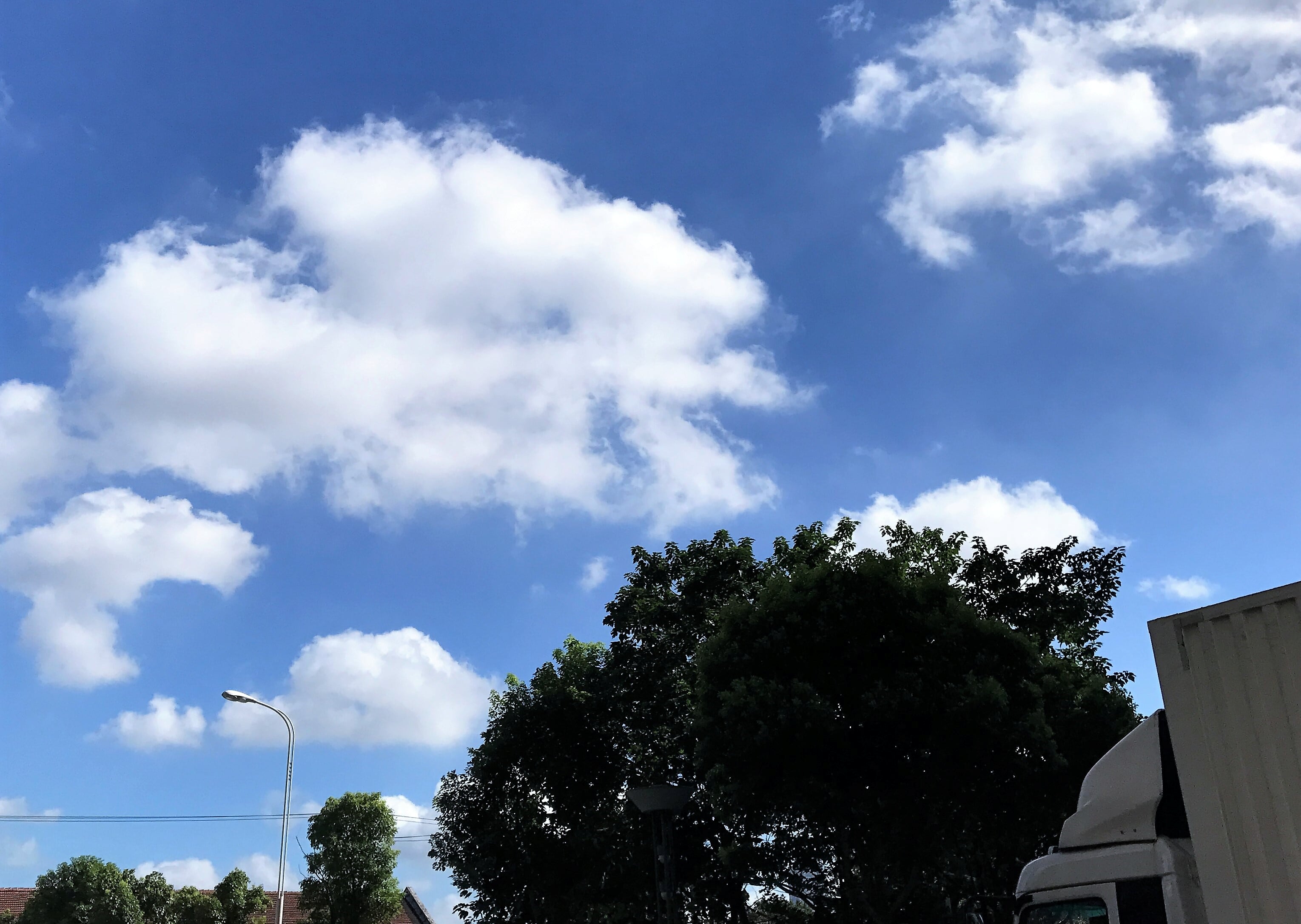 这两天天空蓝的让人以为在做梦