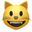 smiley cat