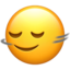 1f642-200d-2194-fe0f emote (inline chat version)