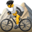 mountain bicyclist