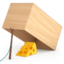 mouse trap