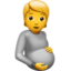 pregnant person