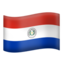 🇵🇾