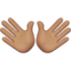 開いた両手（中間の肌色） (Apple)