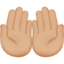 両手を上向きに（やや明るい肌色） (Apple)
