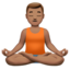 Man In Lotus Position（中間の肌色） (Apple)