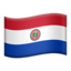 paraguay flag