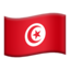 tunisia flag