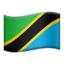 tanzania flag