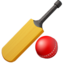 cricket bat and ball