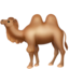 bactrian camel