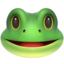 frog face