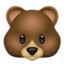 bear face