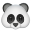 panda face