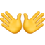 open hands sign