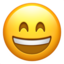 smiling face with open mouth and smiling eyes