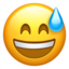 smiling face with open mouth and cold sweat