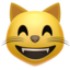 grinning cat face with smiling eyes