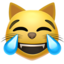 cat face with tears of joy