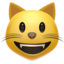 smiling cat face with open mouth