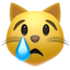 crying cat face