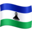 flag-ls