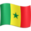 flag-sn